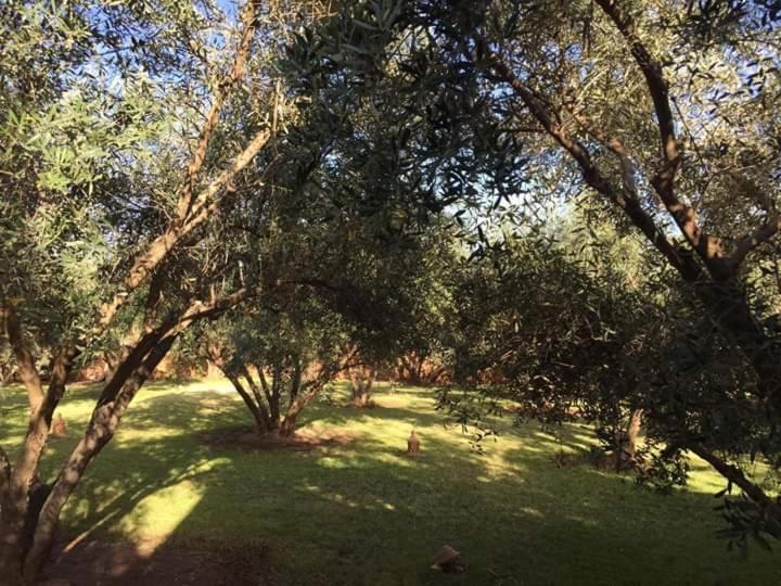 Riad Sidi Hicham Ouled Bouzid Eksteriør billede